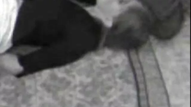 סקס ללא רישום  מילף מפוטם יוצא מהשירותים ועוזר למזדיין להתגלח מהכביש עיסוי אירוטי סרטים עם אלסה ג ' ין.
