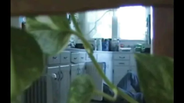 סקס ללא רישום  לקוח מלא סרטים פנוגרפים מוצץ חברים של בעל החנות