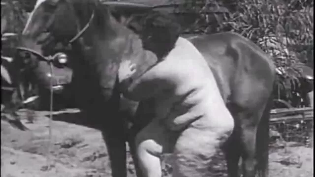 סקס ללא רישום  סקס יפה סרטי סקס חינם שמנות של הזוג.